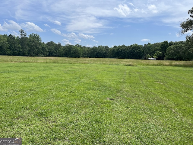 18 Vernon Rd NE, Rome, GA 30165 - view of green lawn with a view of countryside and a view of trees