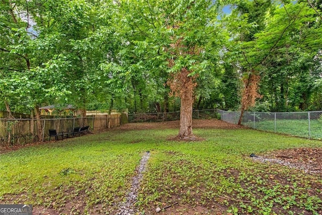 1041 Lawton Ave SW, Atlanta, GA 30310 - view of yard with a fenced backyard