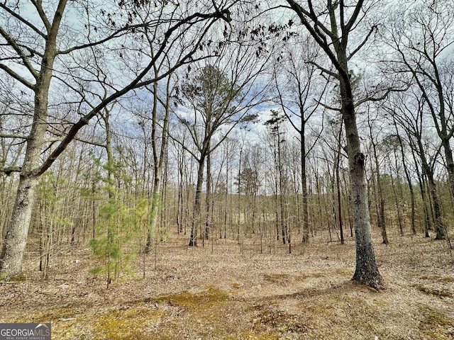 view of nature featuring a view of trees