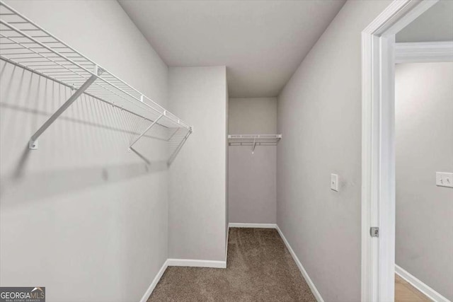 spacious closet featuring carpet