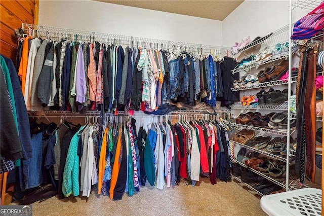 spacious closet with carpet flooring