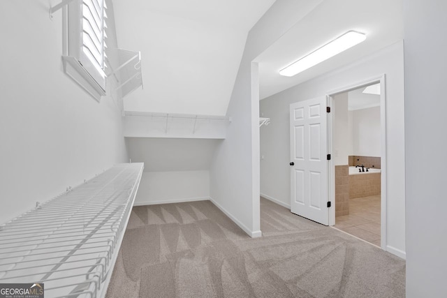 spacious closet with carpet flooring