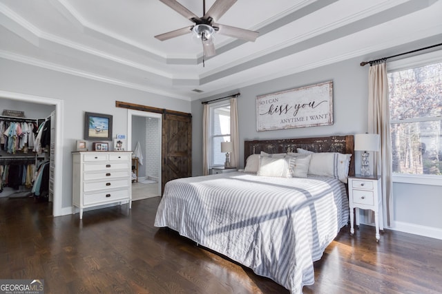 bedroom with a barn door, a spacious closet, a tray ceiling, and wood finished floors