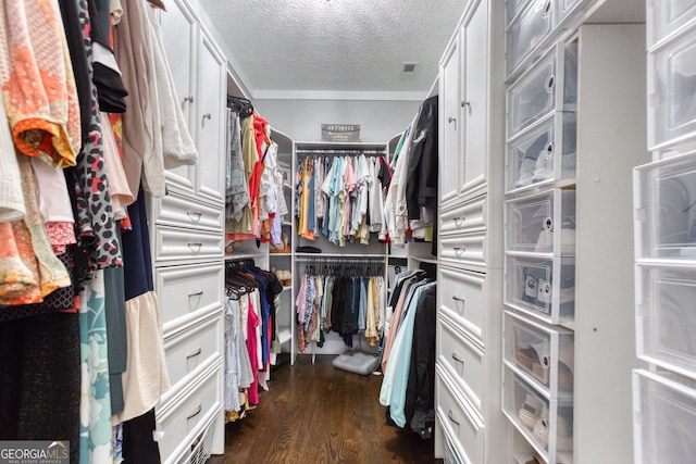 walk in closet with visible vents and dark wood-style flooring