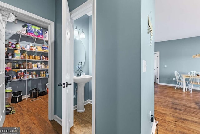 pantry with a sink