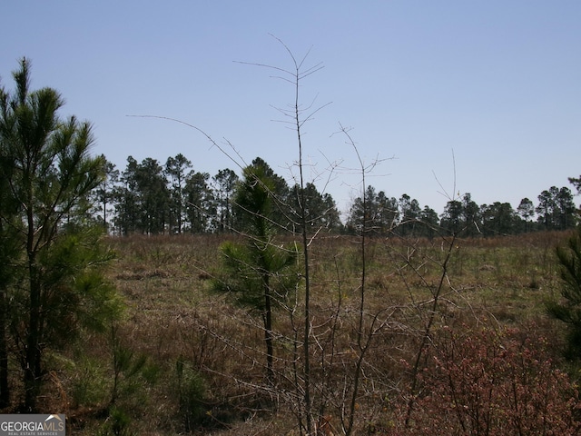 0 Mixon Rd, Swainsboro GA, 30401 land for sale