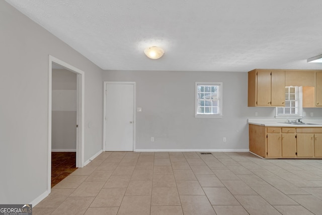 kitchen featuring a sink, baseboards, a textured ceiling, and light countertops