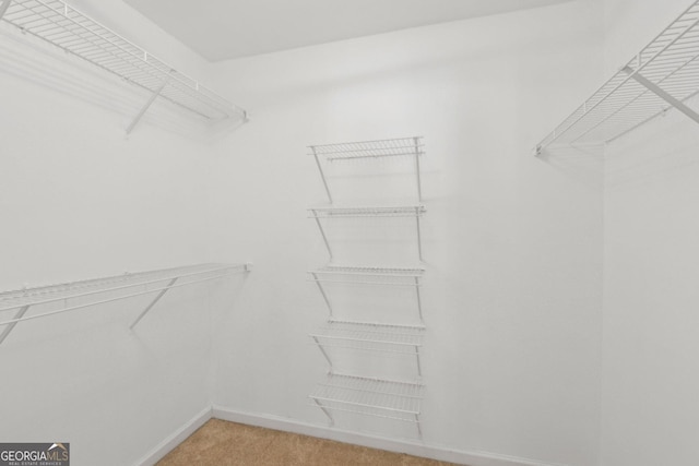 spacious closet with light colored carpet