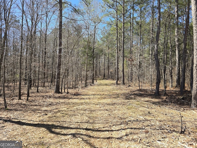 05 Bolton Rd, Zebulon GA, 30295 land for sale