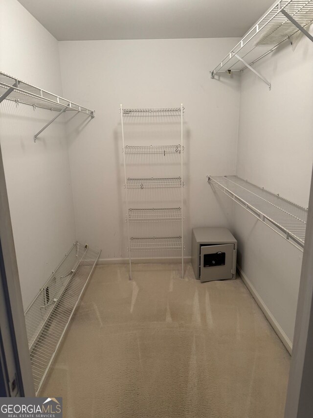 walk in closet featuring carpet flooring