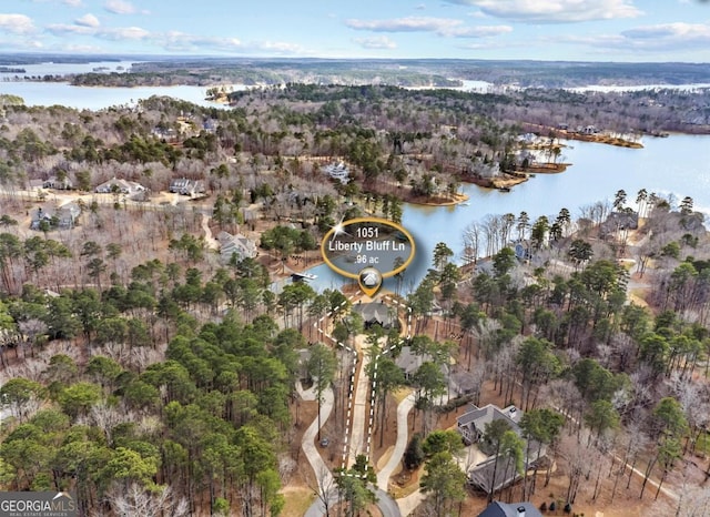 aerial view with a view of trees and a water view