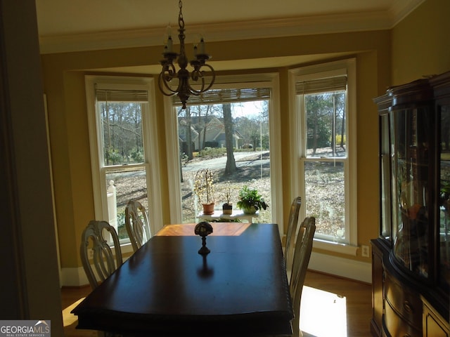 dining area featuring wood finished floors, baseboards, a wealth of natural light, and ornamental molding