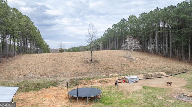 view of yard featuring a trampoline