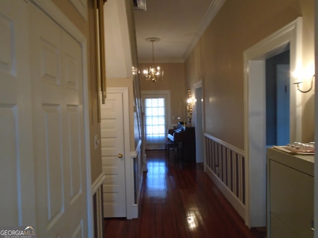 corridor featuring dark wood-type flooring, a notable chandelier, and ornamental molding