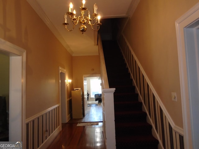 stairs with a wainscoted wall, wood finished floors, an inviting chandelier, and ornamental molding