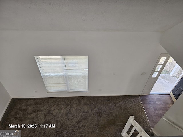 11187 Shannon Cir, Hampton, GA 30228 - entrance foyer with dark colored carpet and a textured ceiling