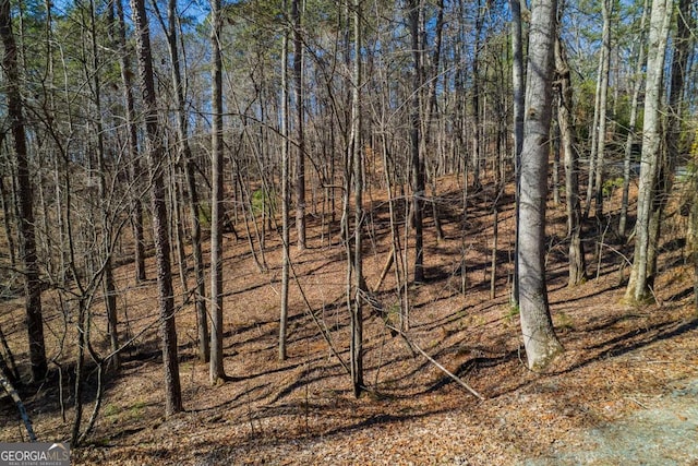 Listing photo 2 for LOT686 Julep Cir, Ellijay GA 30540