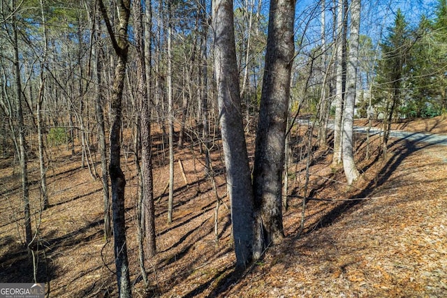 Listing photo 3 for LOT686 Julep Cir, Ellijay GA 30540