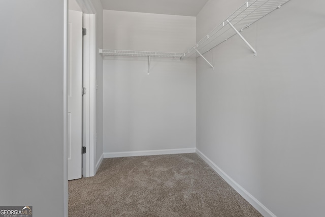 227 Ivey Ter Unit 36, Temple, GA 30179 - walk in closet featuring carpet flooring