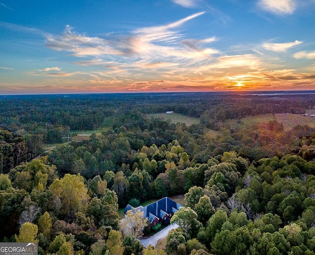 aerial view at dusk with a forest view