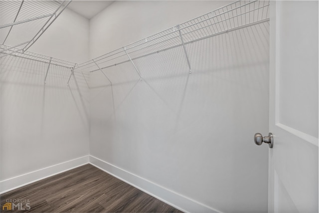 walk in closet with dark wood-type flooring