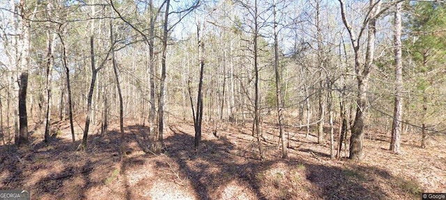 Listing photo 2 for 1750 Crawford Creek Rd, Pine Mountain GA 31822