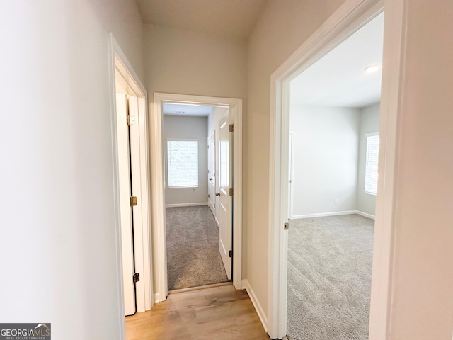 hallway with light colored carpet, baseboards, and a healthy amount of sunlight