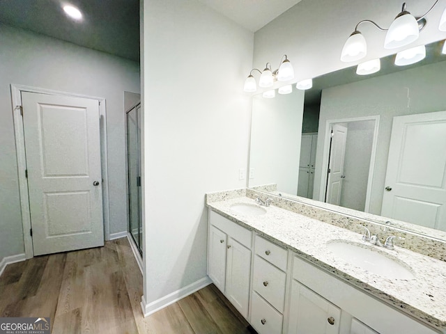 bathroom featuring a sink, double vanity, wood finished floors, and a shower stall