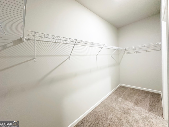 walk in closet with carpet floors