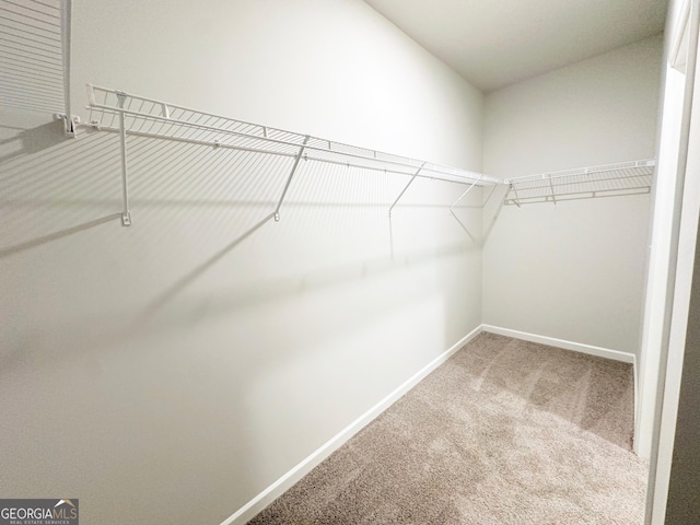 spacious closet featuring carpet