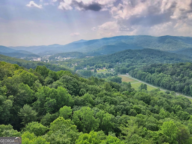 view of mountain feature featuring a view of trees