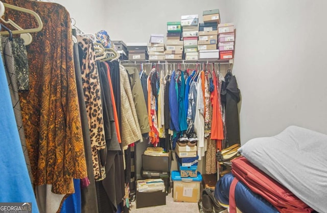 walk in closet featuring carpet flooring