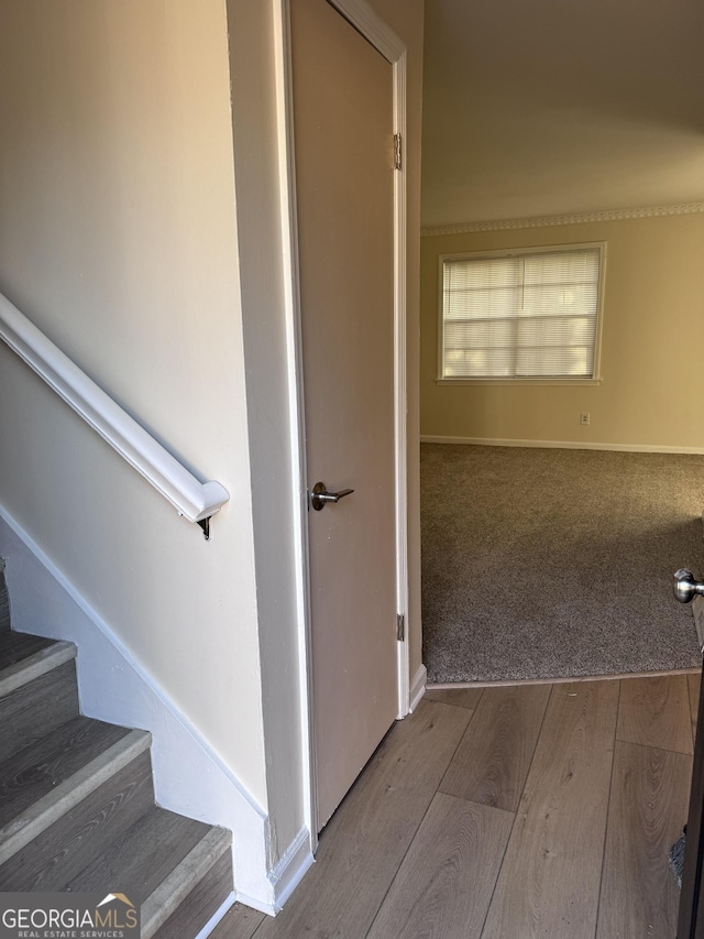 interior space featuring stairway, baseboards, wood finished floors, and carpet flooring