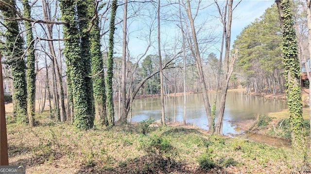 water view with a forest view