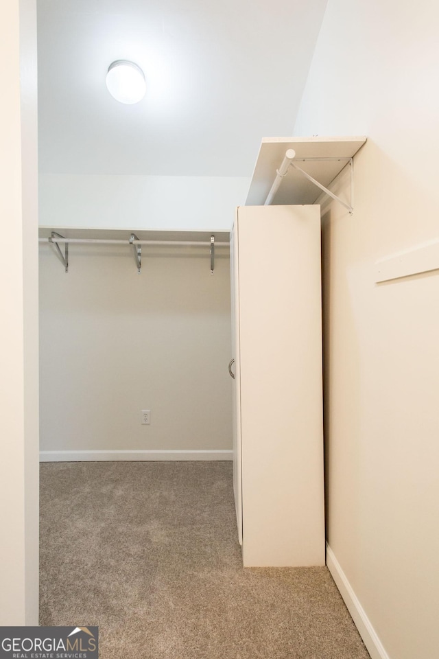 spacious closet featuring carpet flooring