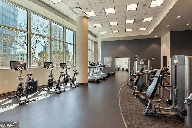 workout area featuring a wealth of natural light, a drop ceiling, baseboards, and a towering ceiling