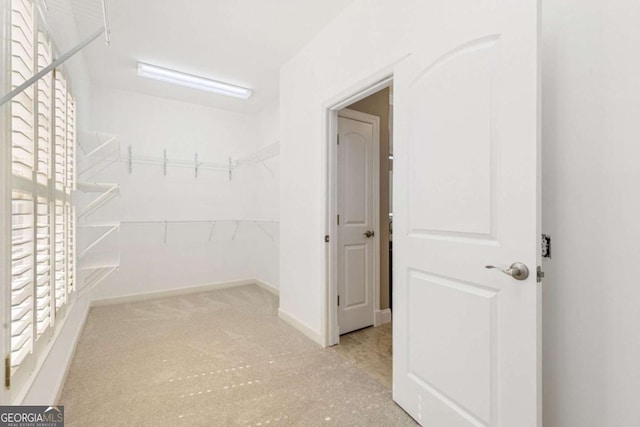 walk in closet with carpet