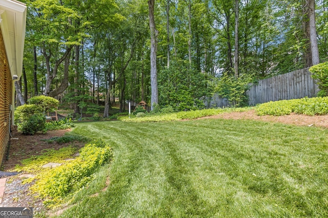 view of yard