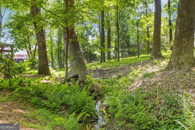 view of undeveloped land