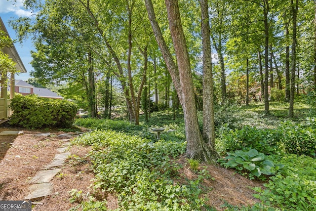 view of yard