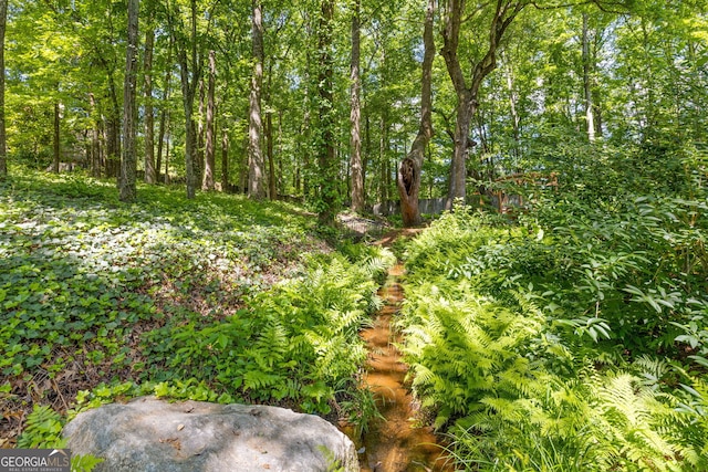 view of local wilderness
