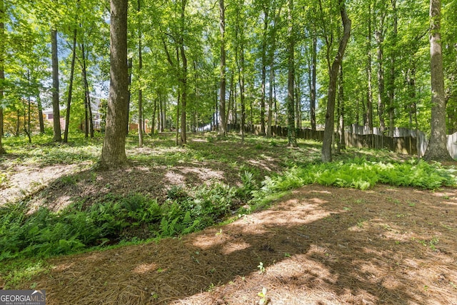 view of yard featuring fence