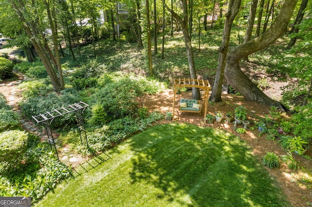 view of green lawn