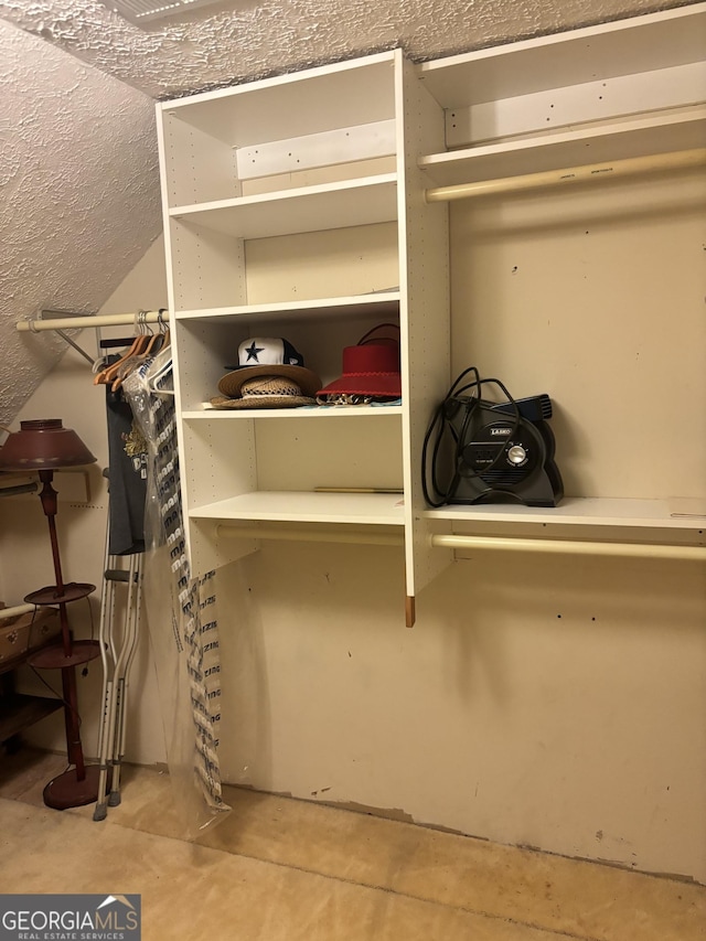 view of spacious closet