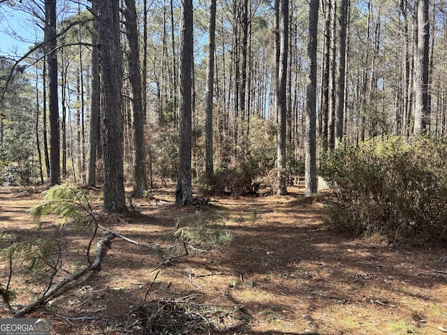 view of landscape with a wooded view