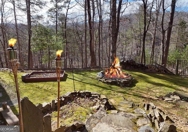 view of yard featuring a fire pit and a view of trees