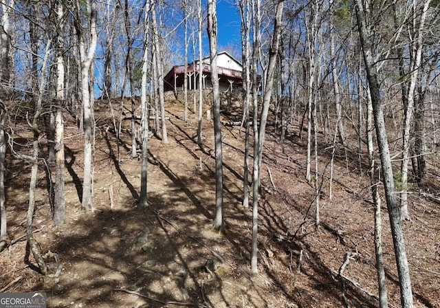106 Opaque Way, Ellijay, GA 30540 - view of local wilderness