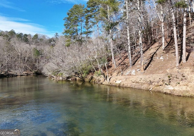 water view with a wooded view