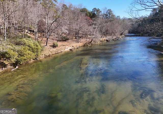 106 Opaque Way, Ellijay, GA 30540 - water view