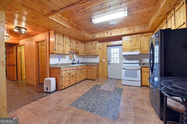 106 Opaque Way, Ellijay, GA 30540 - kitchen with white electric stove, wooden ceiling, under cabinet range hood, a tray ceiling, and tile patterned floors
